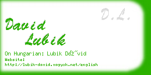 david lubik business card